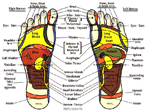 Foot reflexology chart