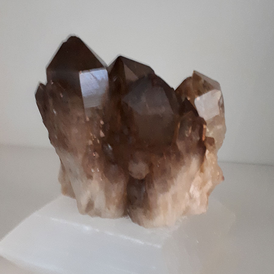 Natural Citrine on selenite